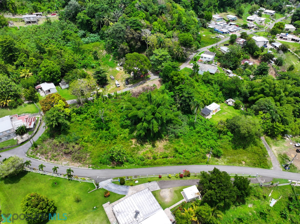 Property Images