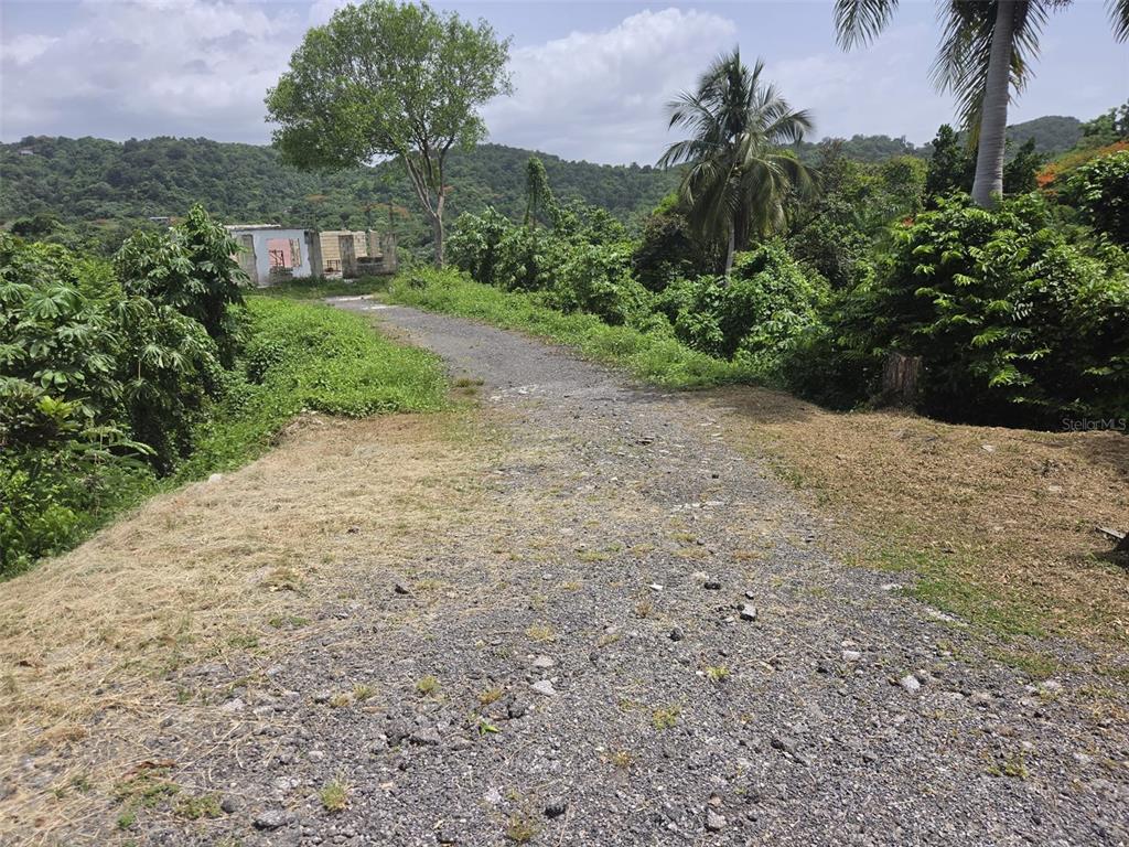 Property Images