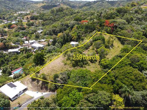 Property Images