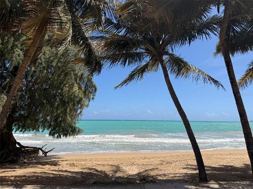 Waldorf Tower AVE. ISLA VERDE UNIT 804